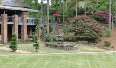 Grub Control in Birmingham Alabama Area