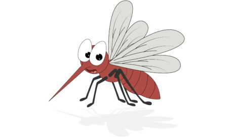 Mosquito Programs
