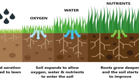 Liquid Aeration Benefits