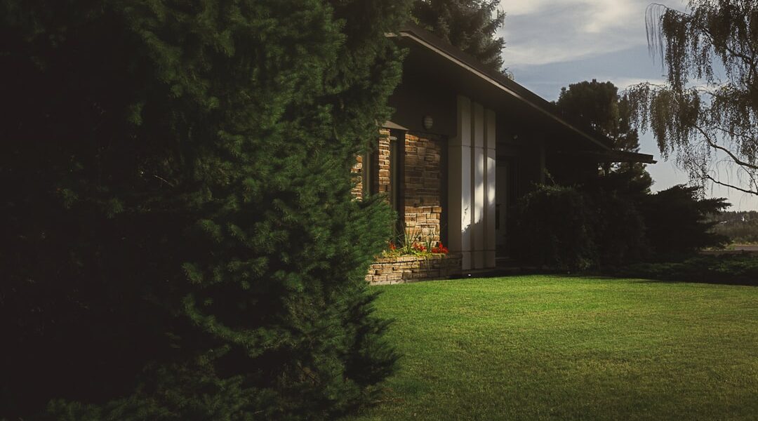 featured image 1763737470