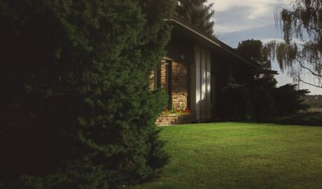 featured image 1763737470