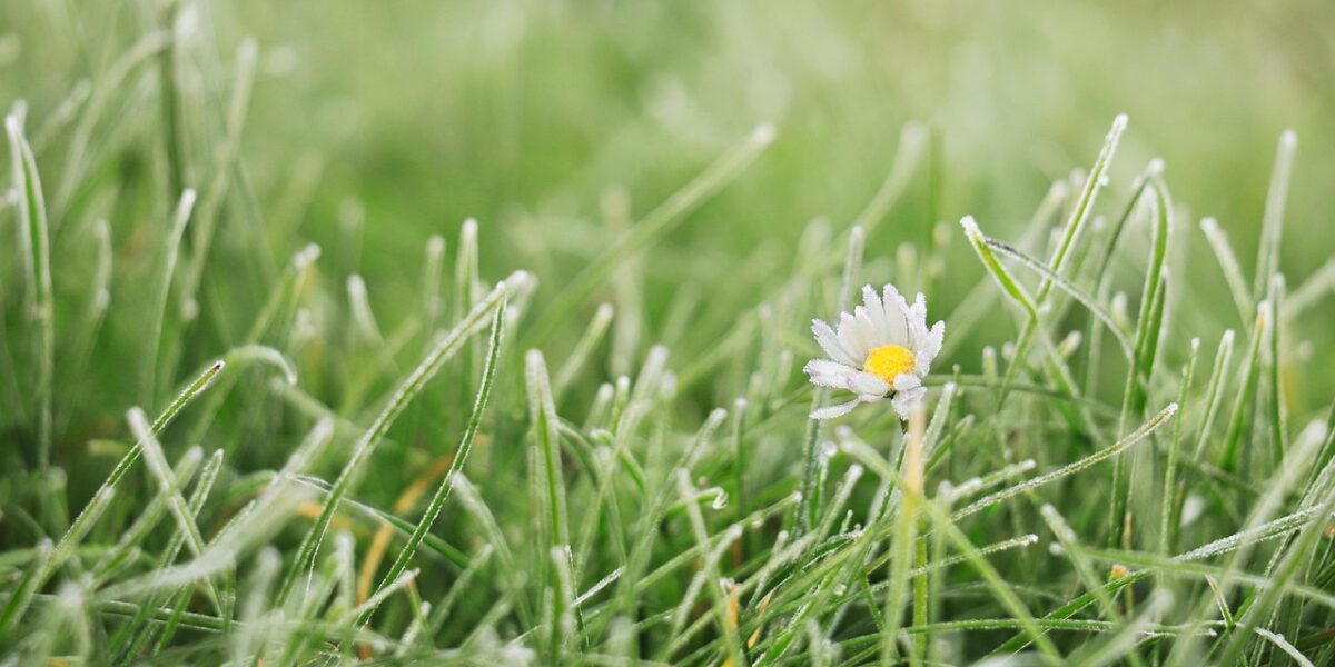 featured image 1763928041