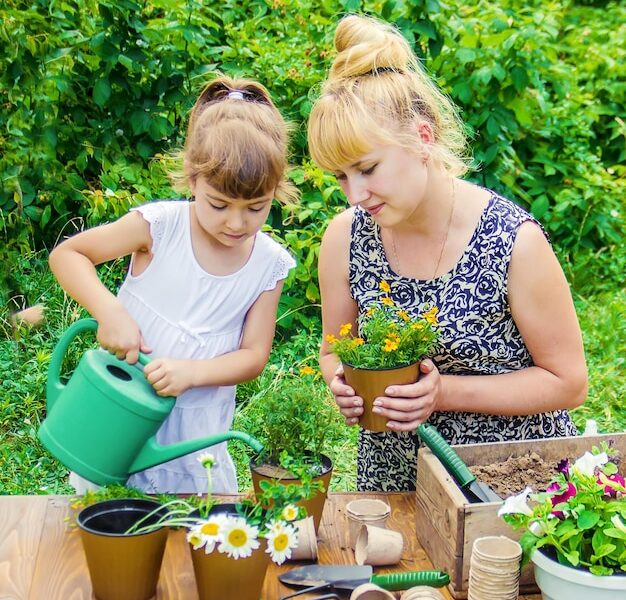 featured image 1764601284