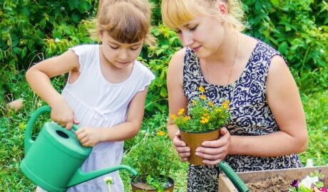 featured image 1764705648