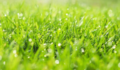 featured image 1766415653