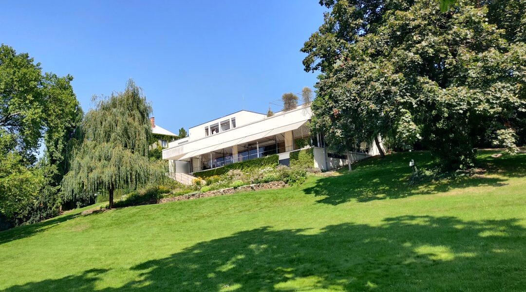 featured image 1767106860