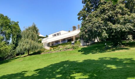 featured image 1767106860