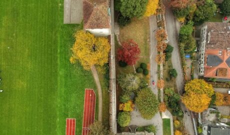 featured image 1767556819