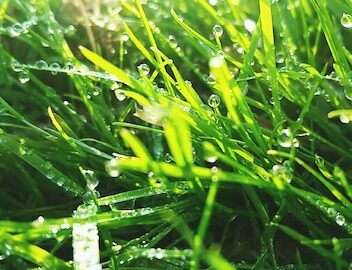 featured image 1767988843