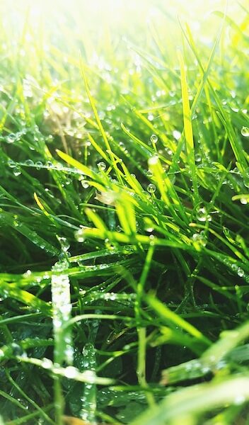 featured image 1767988843