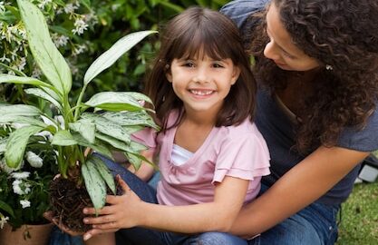 featured image 1768248049