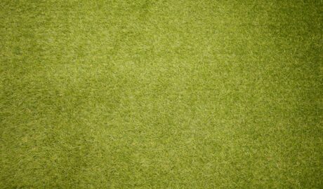 featured image 1768834859