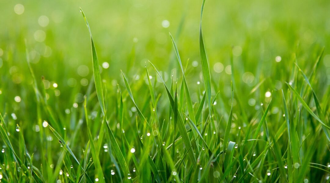 featured image 1768921228