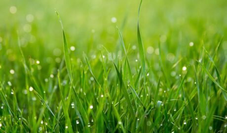 featured image 1768921228