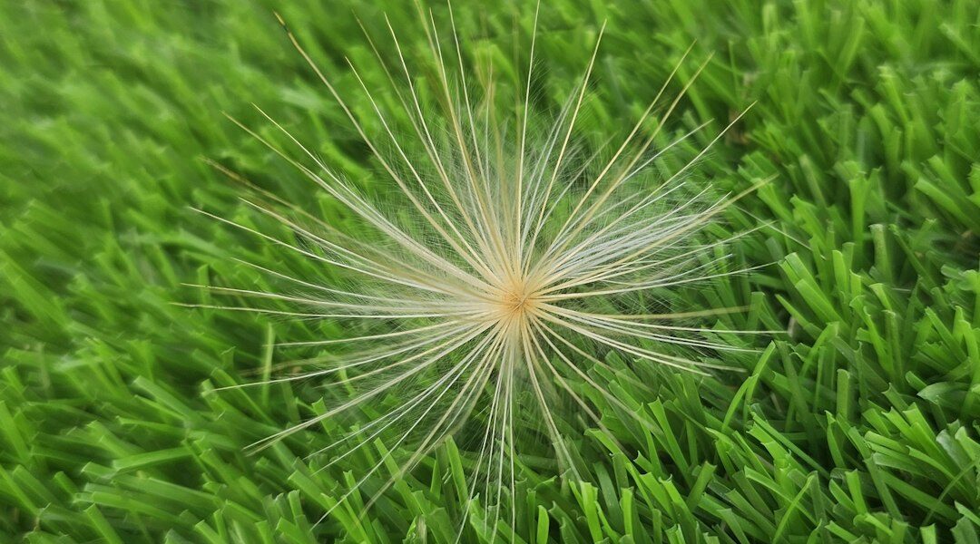 featured image 1769439661