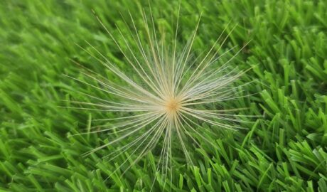 featured image 1769439661