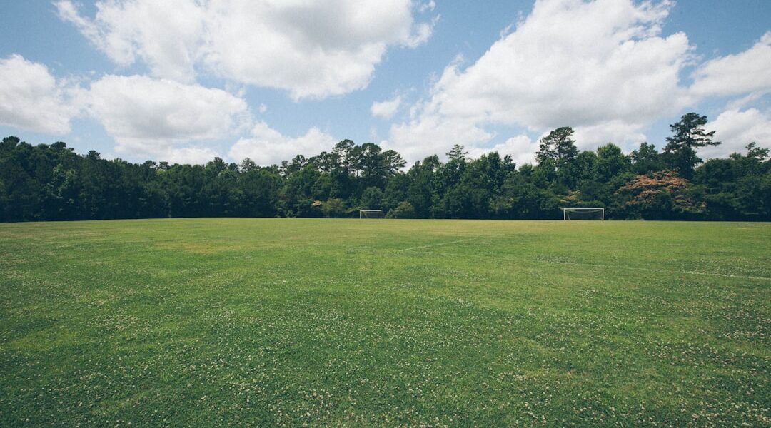 featured image 1769630414