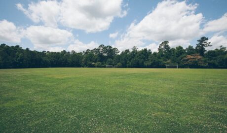 featured image 1769630414