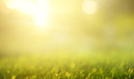 featured image 1770044431