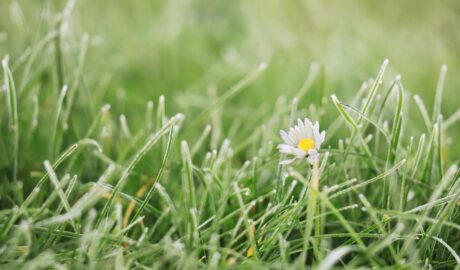 featured image 1771081230