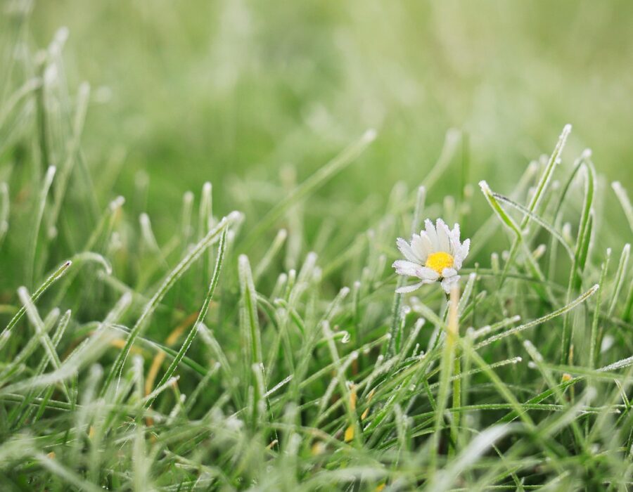 featured image 1771081230