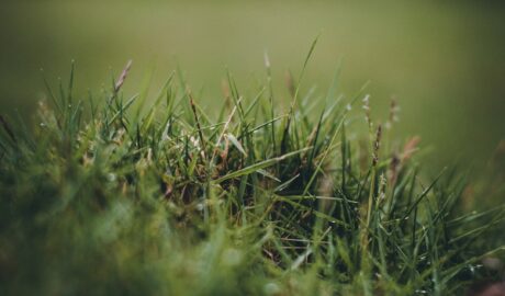 featured image 1771272085