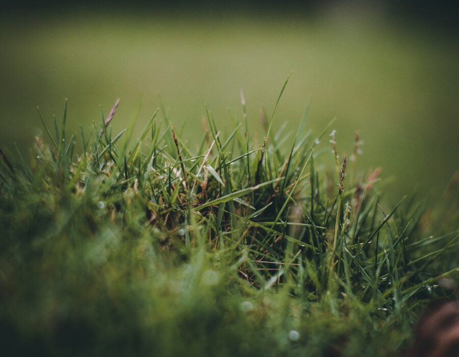 featured image 1771272085