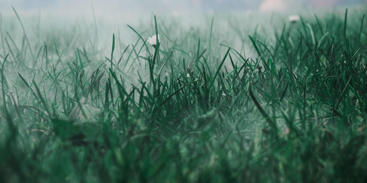 featured image 1771876843