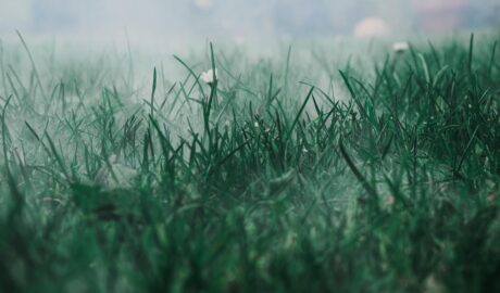 featured image 1771876843