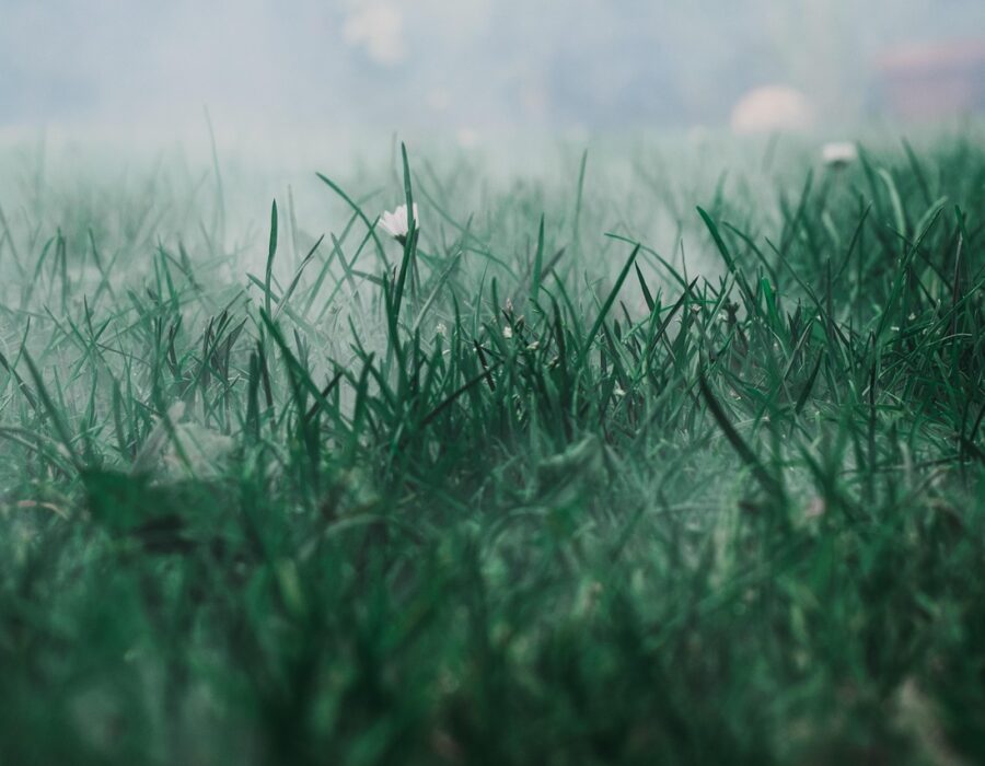 featured image 1771876843