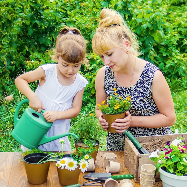 featured image 1772481686