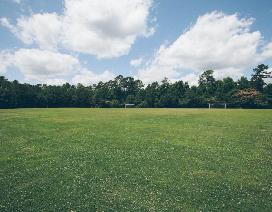featured image 1783692022