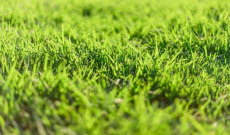 featured image 1788962413